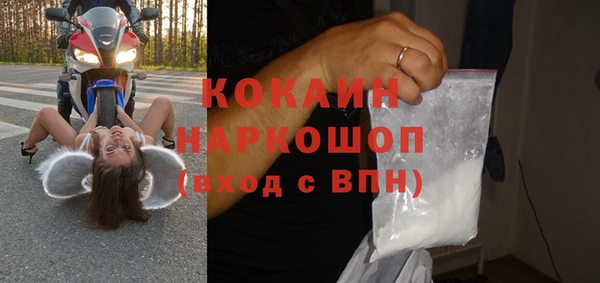 дживик Надым
