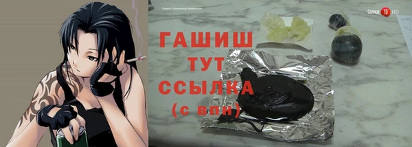 дживик Надым
