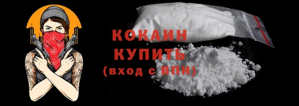 дживик Надым