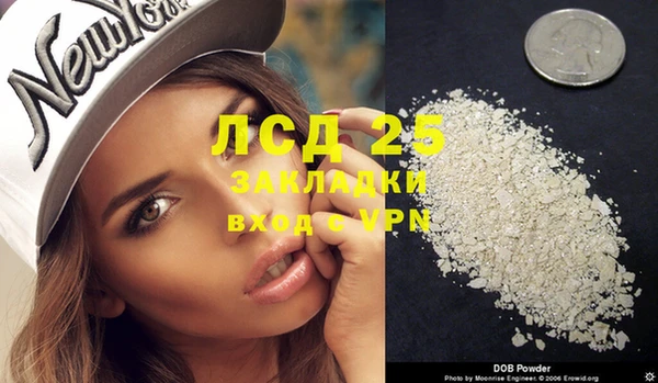 дживик Надым