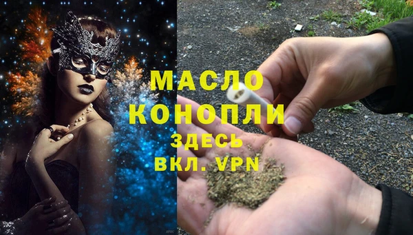 дживик Надым