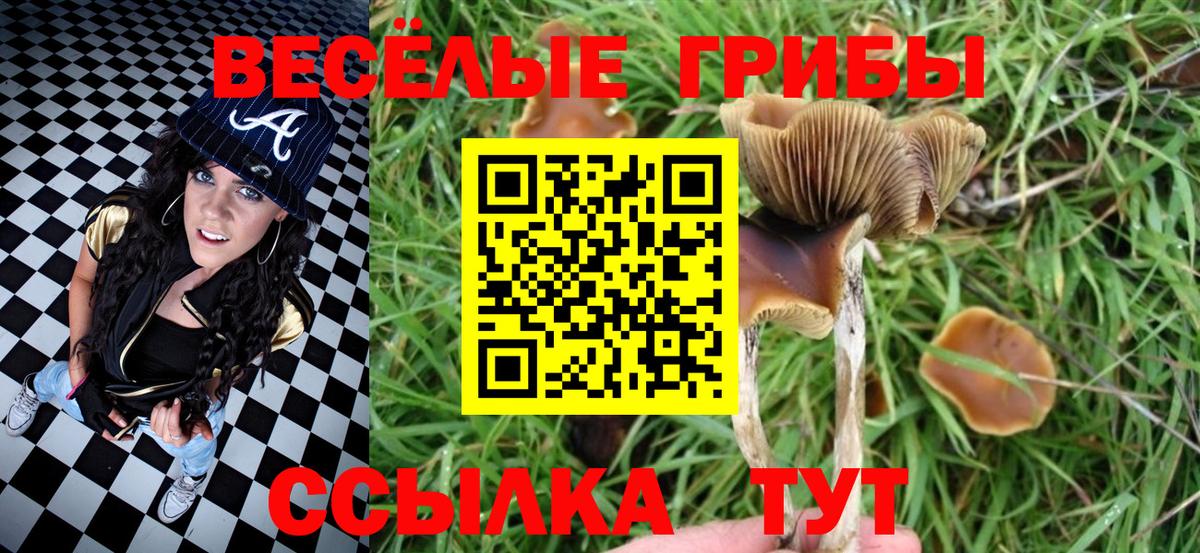 Псилоцибиновые грибы прущие грибы Мегион