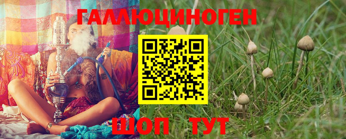 Галлюциногенные грибы мухоморы  Мегион 